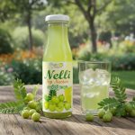 Nelli Sip Nectar (නෙල්ලි පානය) 200ml